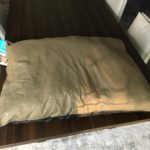 Accent Pet Pillow Bed
